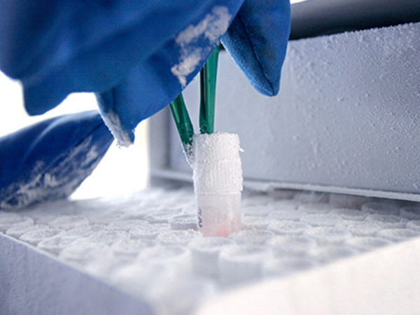 88858cc永利官网教你如何选择冷冻食品不干胶标签？